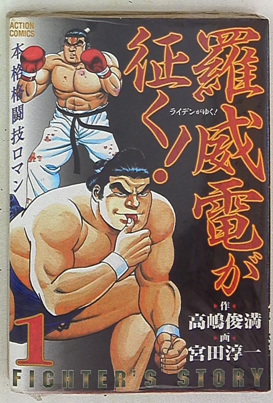 Fighter's Story! background