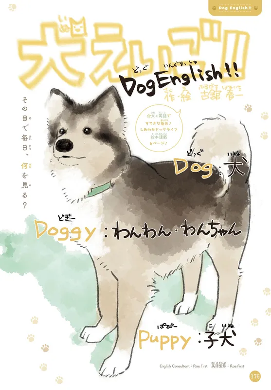 Dog English!!