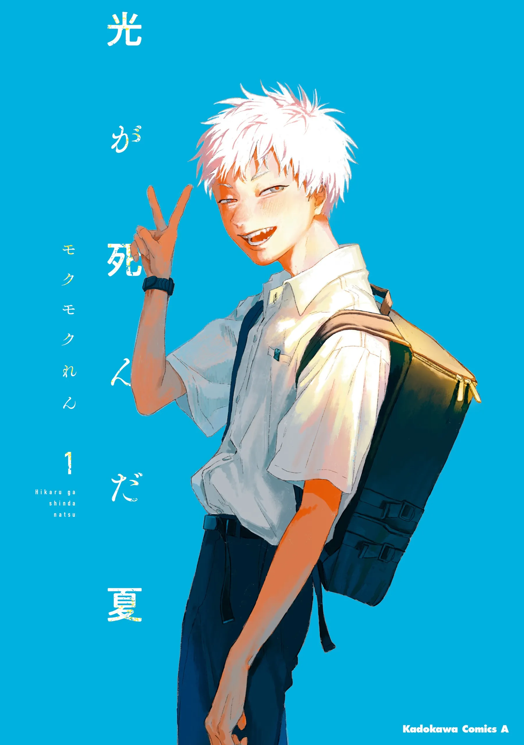 Hikaru ga Shinda Natsu background