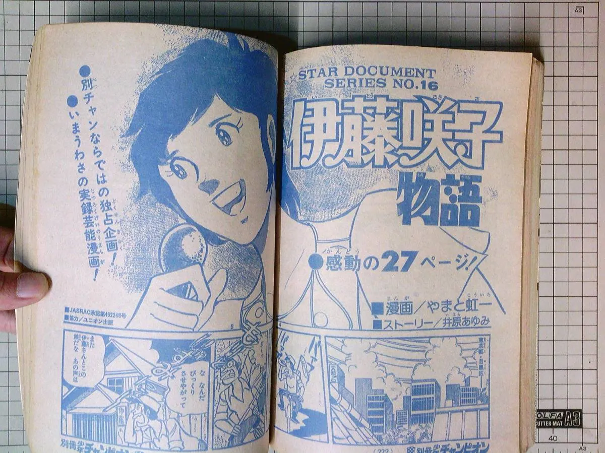 The Story of Sakiko Ito background