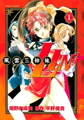 The Kung Fu Sisters Lin³