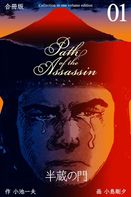 Path of the Assassin
