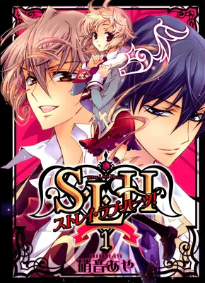 S.L.H - Stray Love Hearts!