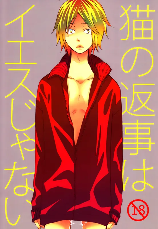 Haikyu!! - Neko no Henji wa Yes Janai (Doujinshi)