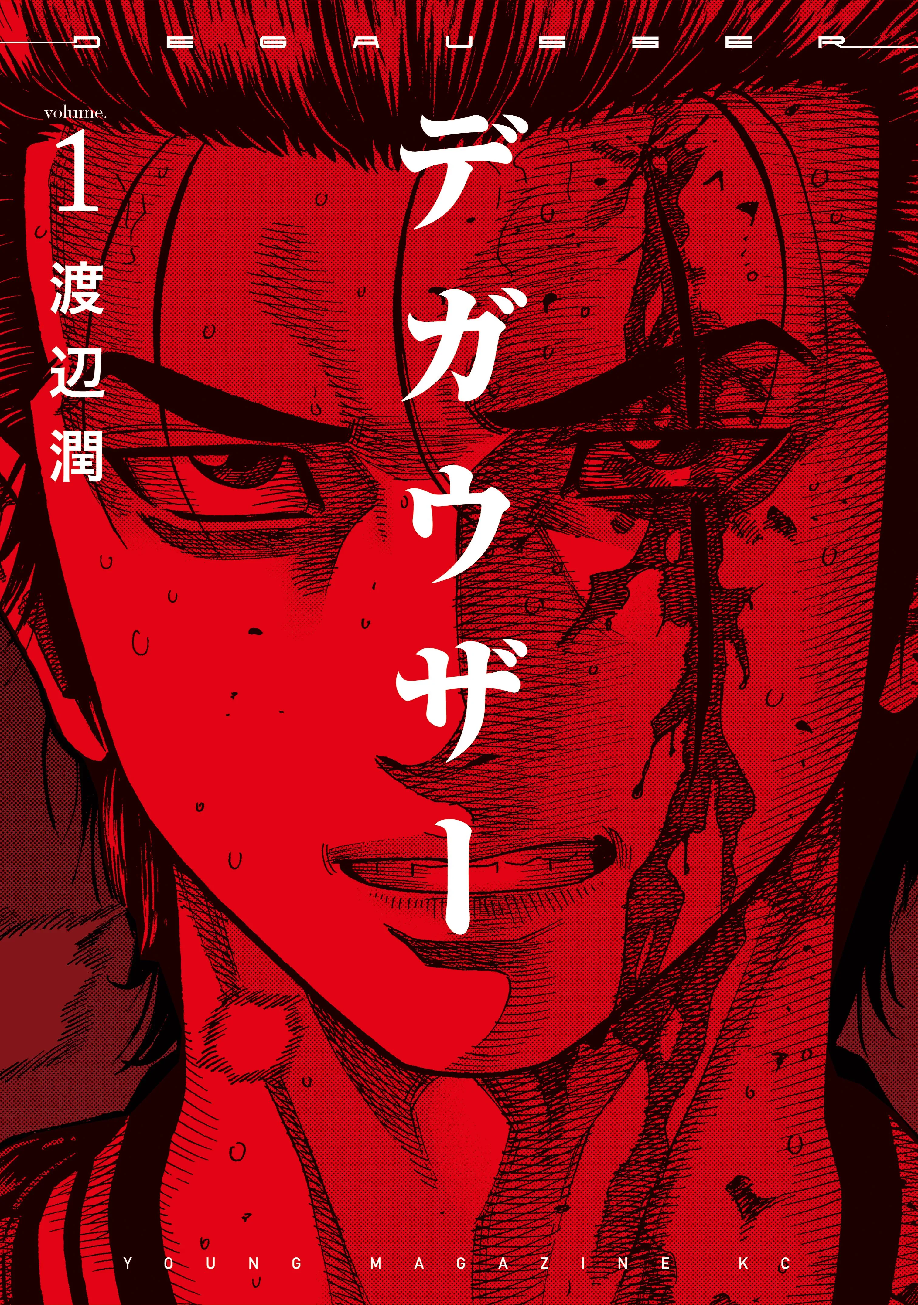 Degausser background
