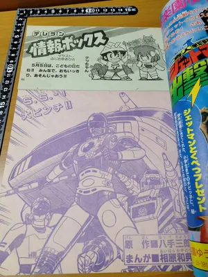 Special Police Winspector (TV Land)