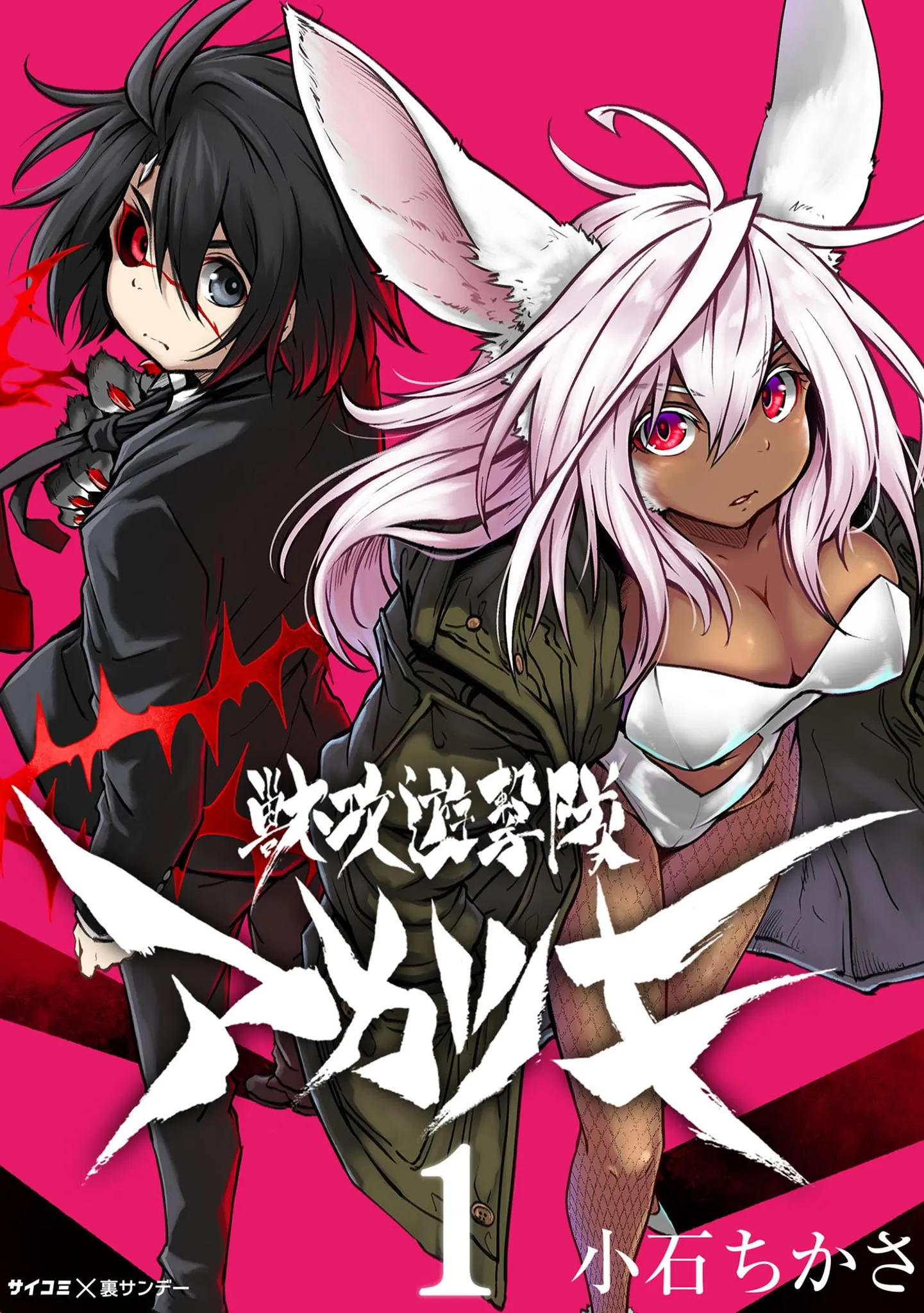 Kemono Attack Squad Akatsuki background