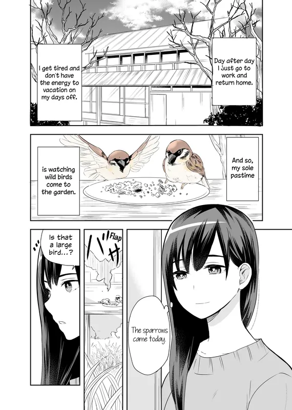 A Cute Bird Comes to an Office Lady Who Is Tired and Healed by Birdwatching