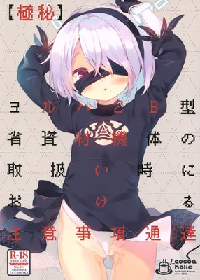 NieR:Automata - [Top Secret] Notice of Precautionary Measures Regarding the Handling of YoRHa No. 2 Type B Resource Conservation Fuselage