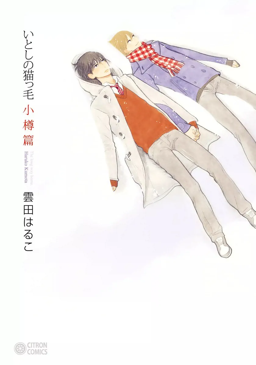 Itoshi no Nekokke: Otaru-hen background
